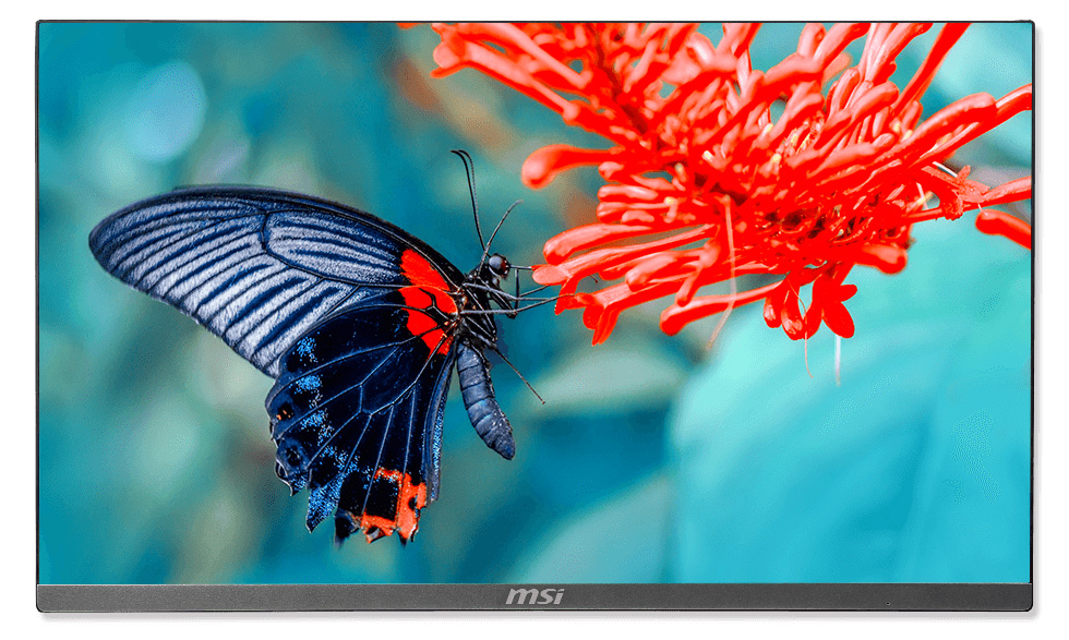 Pro 24x IPS Monitor.
